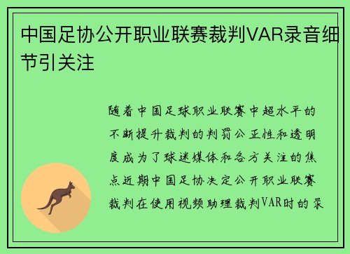 中国足协公开职业联赛裁判VAR录音细节引关注